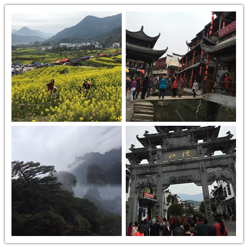 平博·pinnacle(国际)体育官网