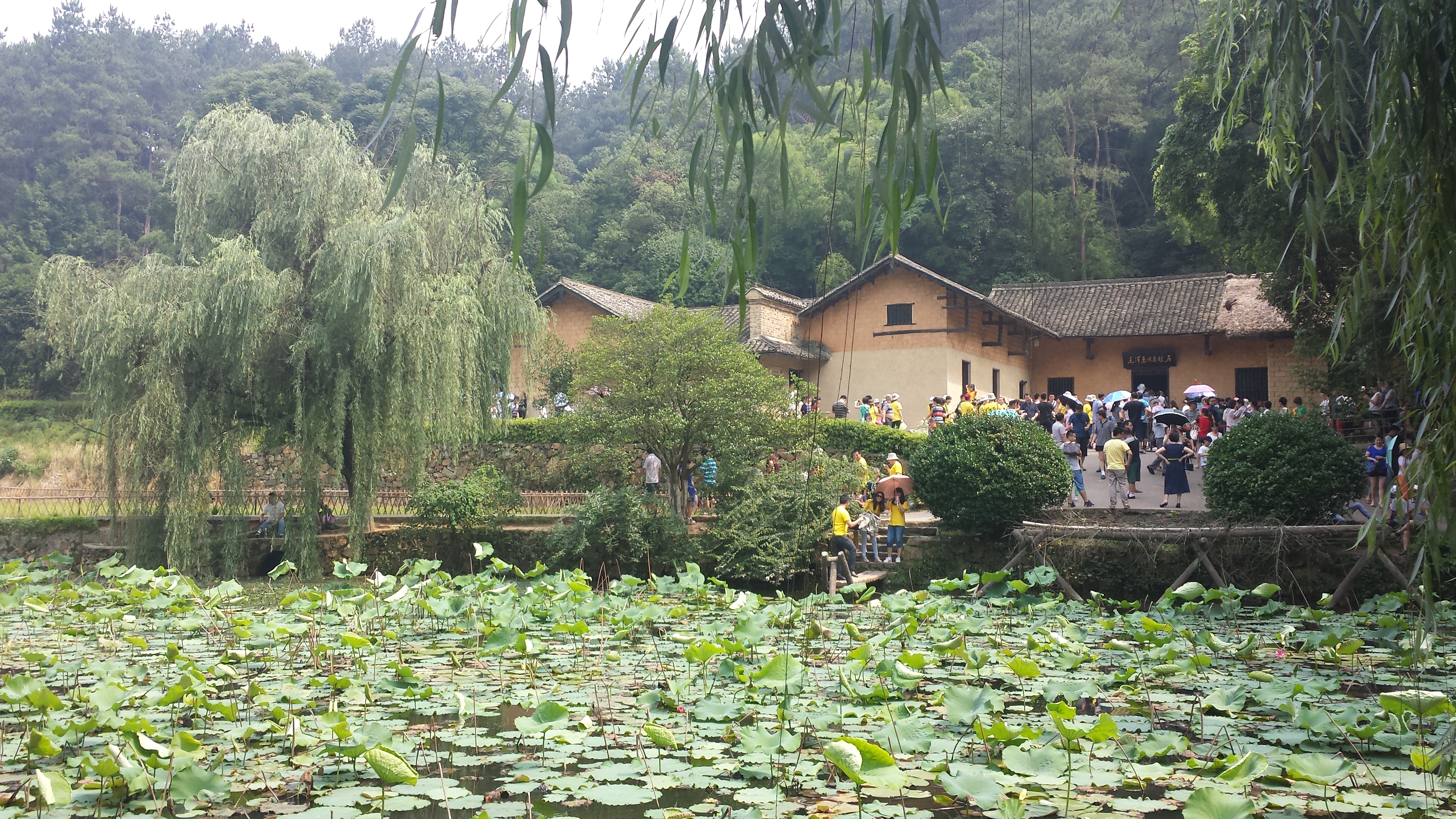 平博·pinnacle(国际)体育官网