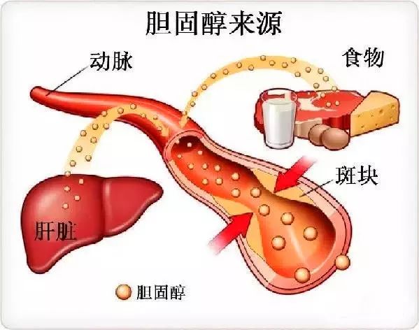 平博·pinnacle(国际)体育官网